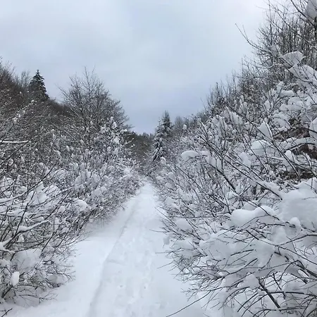 Sports Tower 30-2 Apartmán