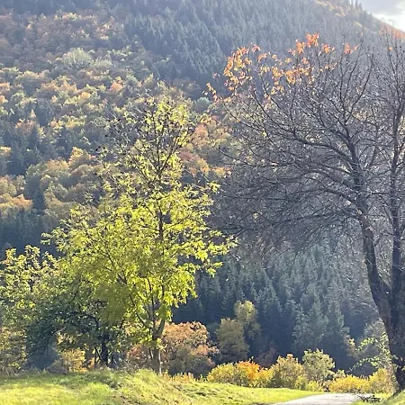 Apartamento Sports Tower 30-2 *