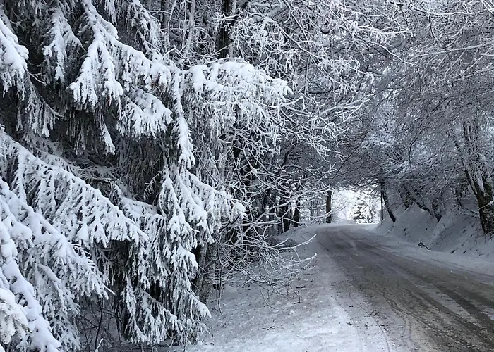 Sports Tower 30-2 Apartamento Winterberg