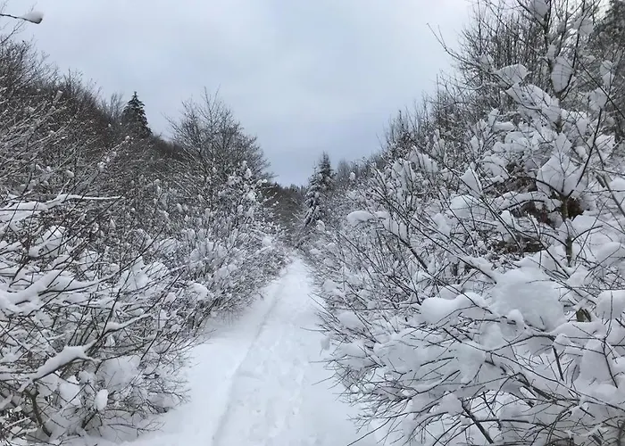 Sports Tower 30-2 Appartement