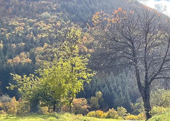 Apartamento Sports Tower 30-2 *